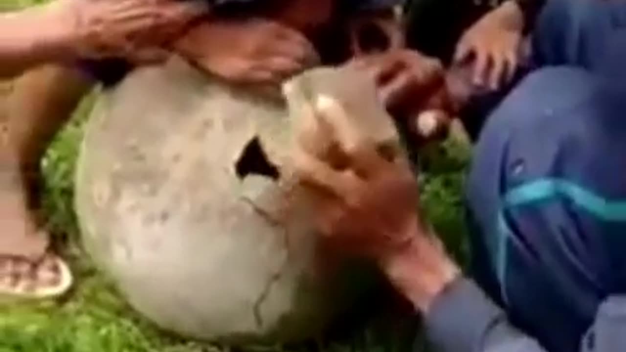 head that goes into a clay container