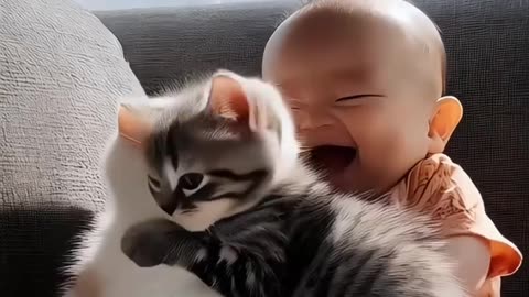Funny vedio Baby and cat