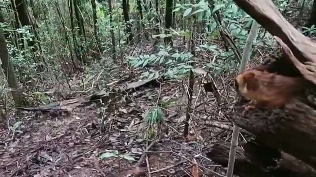 Weee!!