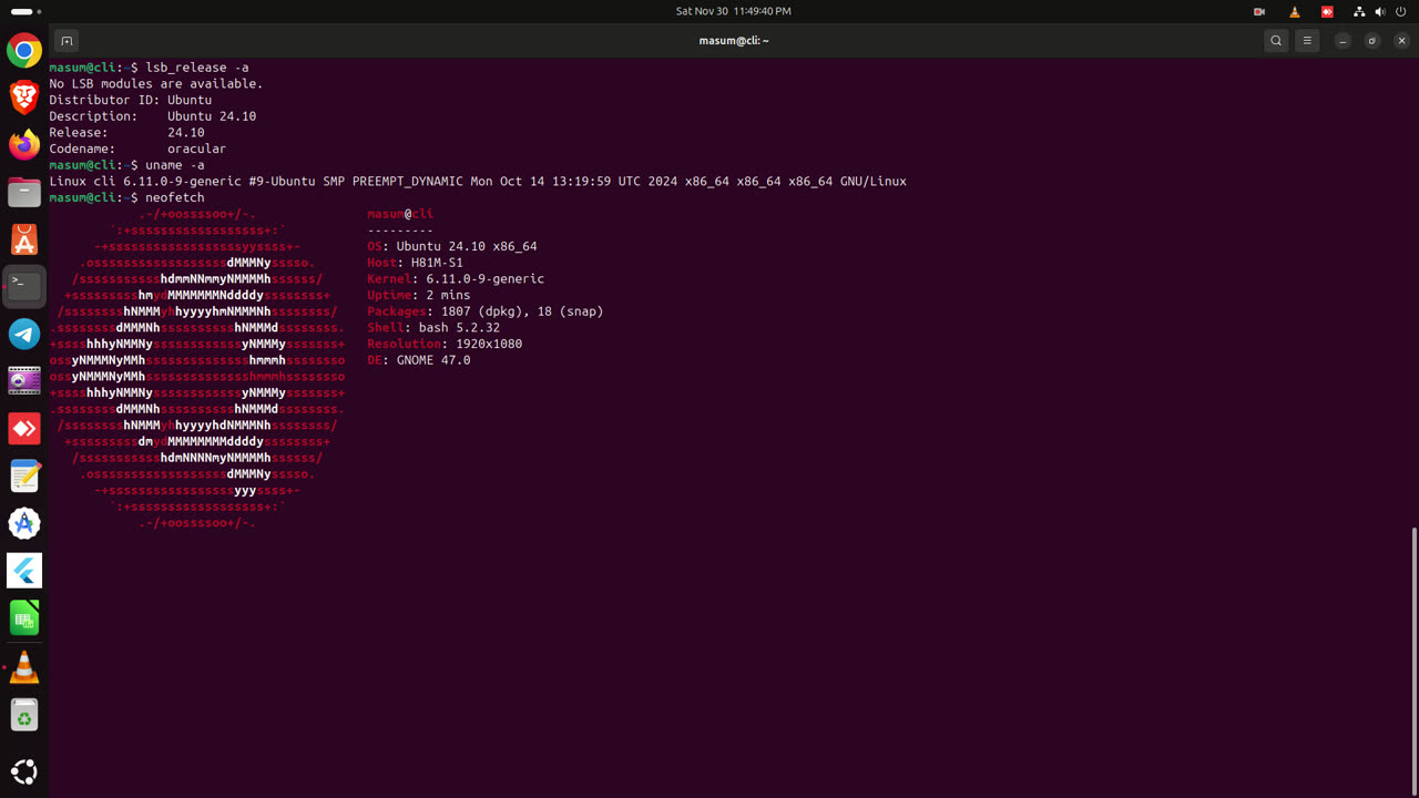 Ubuntu 24.10 LTS Linux Server Support