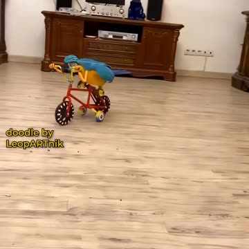 Life in the Air: Bird Art Renderings