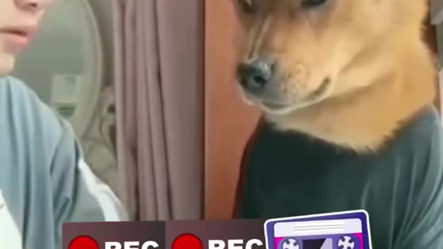 The dog, Best Funny video Ha Ha 🤣🤣🤣