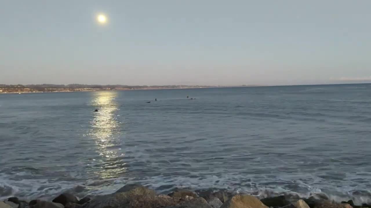 Moonlight Surf Session