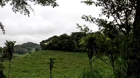 Central Botanica Region in Costa Rica video (without editing)