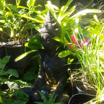 1.10.2024 Sounds of Kuranda (4)