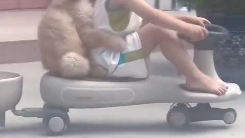 Dog and little kid driving scooter 🛴🛵🐶😍👦