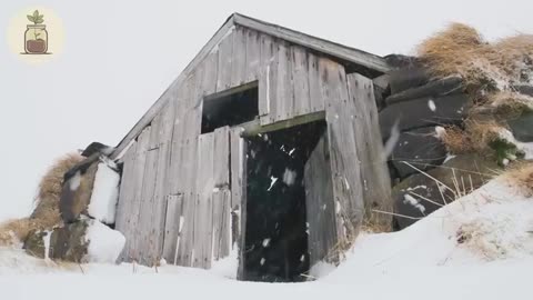 How Amish Keep Food COLD Without Refrigeration