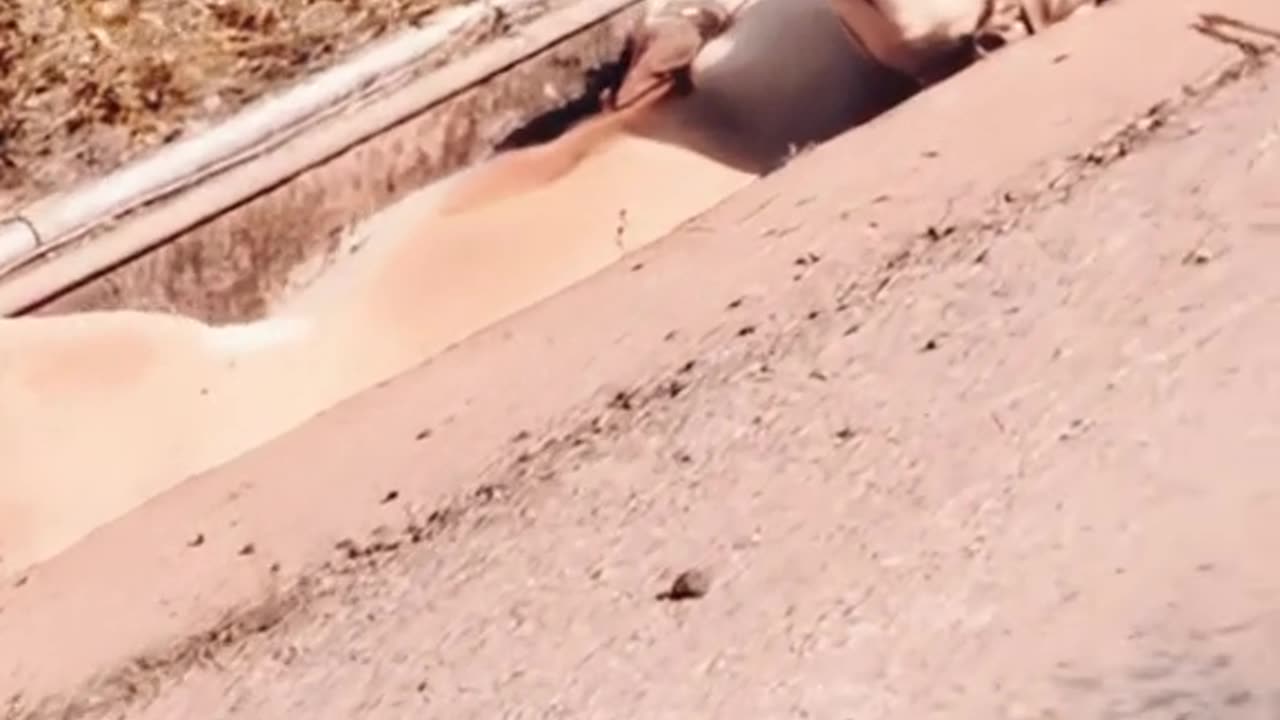 Hi I 👋 👋 sorry for a few messages from