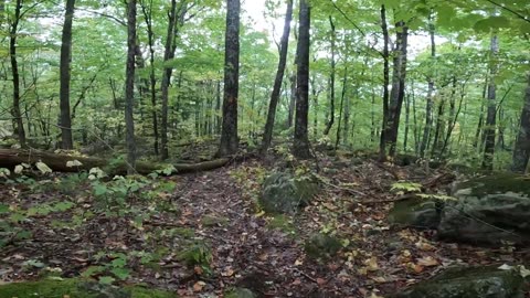 Take a Hike
