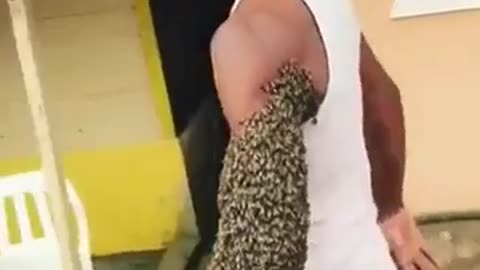 Arm full of Bees