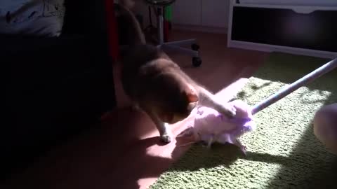 Unicorn 2