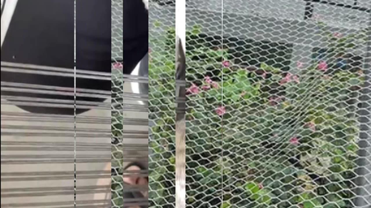 Architectural Woven Wire Infill for Railing