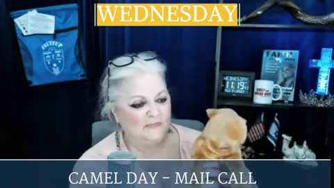 Q/A with Coach Annamarie - Faith Lane Live 2/8/23 Camel Day! Mail Call! Answering YOUR Questions!