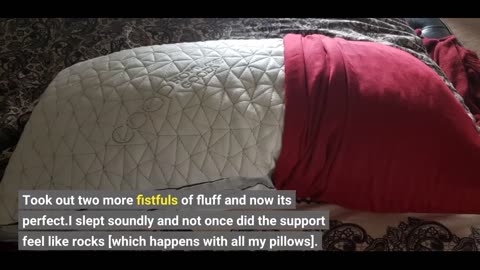 Coop Home Goods Eden #Pillow Queen Size Bed-Overview
