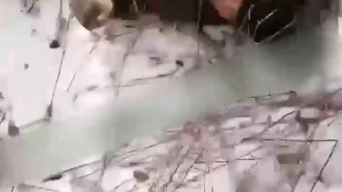 Ukraine soldiers committing War Crimes , ( 18+ Graphic Content )