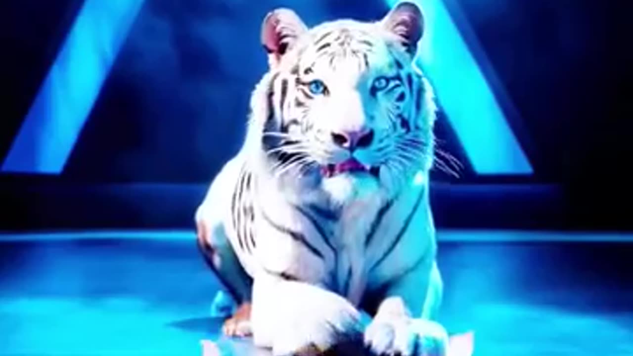 An old Man Became a Bengal tiger