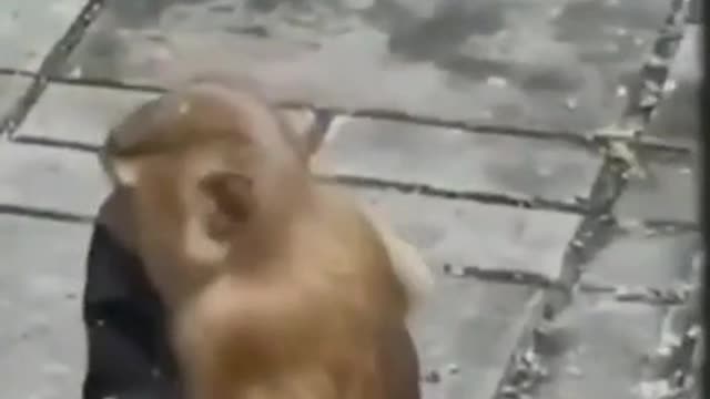 covid hits different