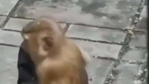 covid hits different