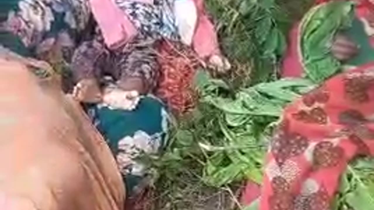 Amhara Genocide