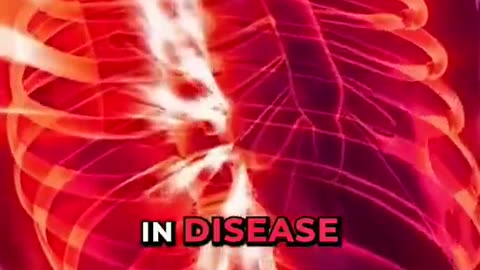 Sugar Is Your Primary Fuel For Cancer