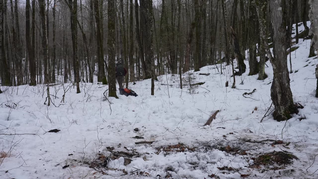 Sleeping Out in the Open - Deep in the Snowy Woods