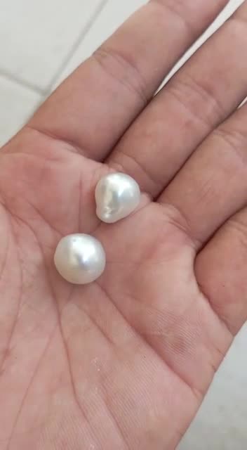 Sea Pearls