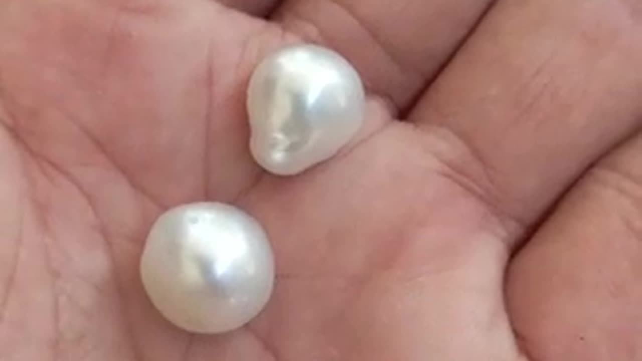 Sea Pearls