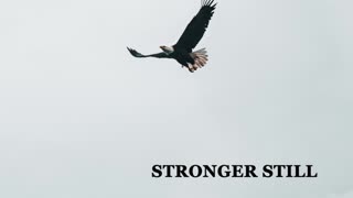 Pray USA, 2/2/23 Stronger Still
