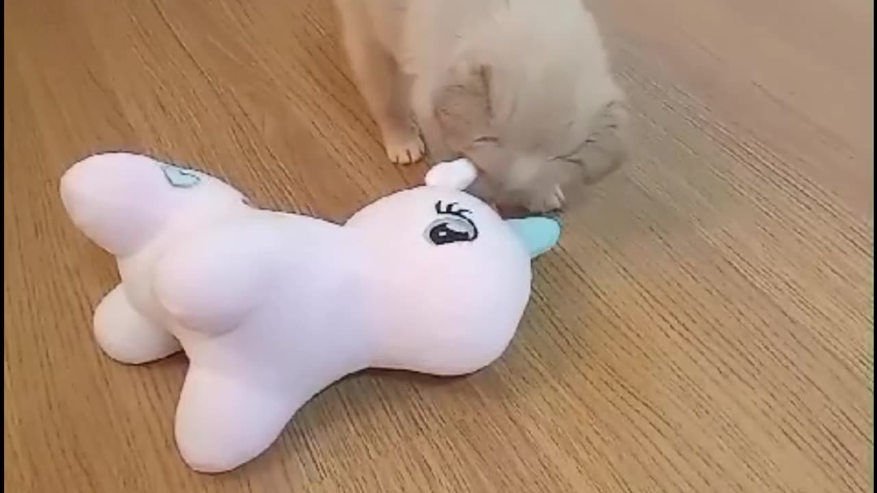 Bulma's first Toy