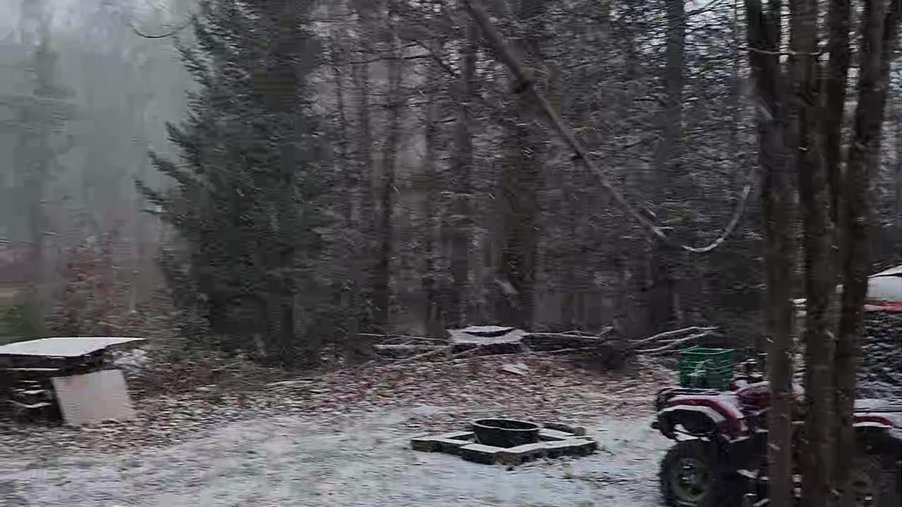 Exciting First Snow Day At Camp - December 1st, 2024 | Part 1