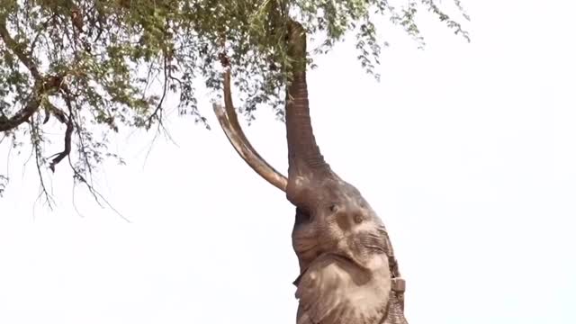 Nature is simply magnificent.
