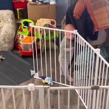 a little cuteness daily 11