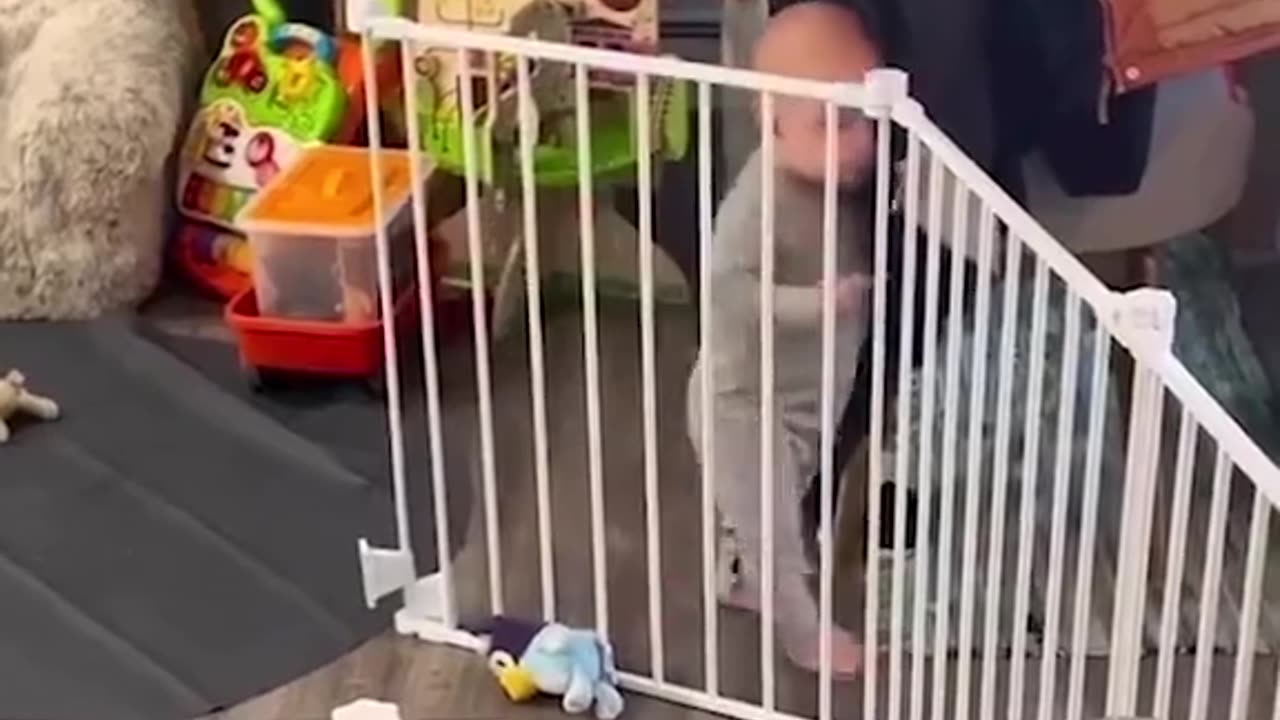 a little cuteness daily 11