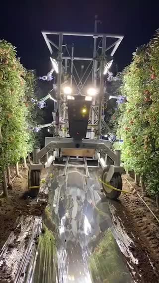 Robo colhe macas sem machucar