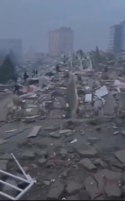 Turkey surveying damage from the ground