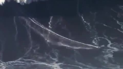 The biggest ever recorded surfed wave