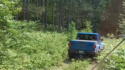 Trail ride