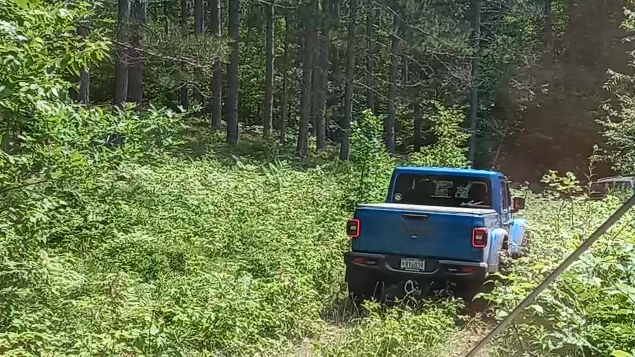 Trail ride