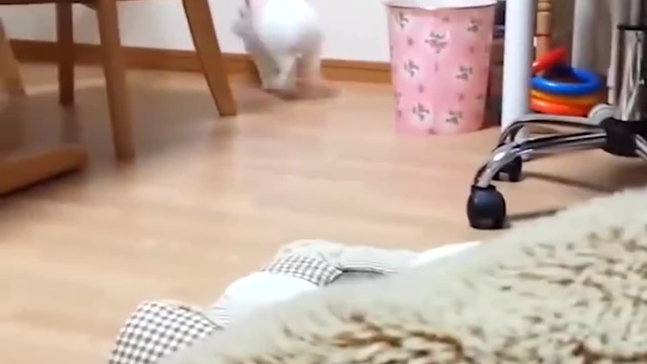 Cute and Funny Bunny Compilation