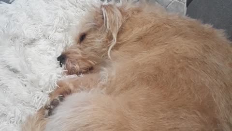 GOOD MORNING , BERKELEY !