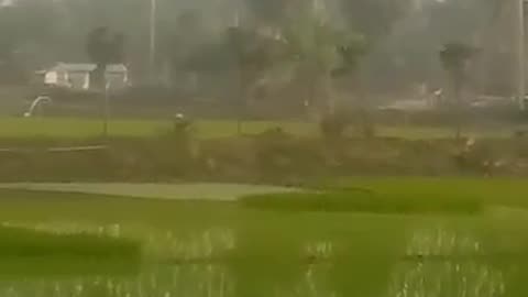 সাপোর্ট
