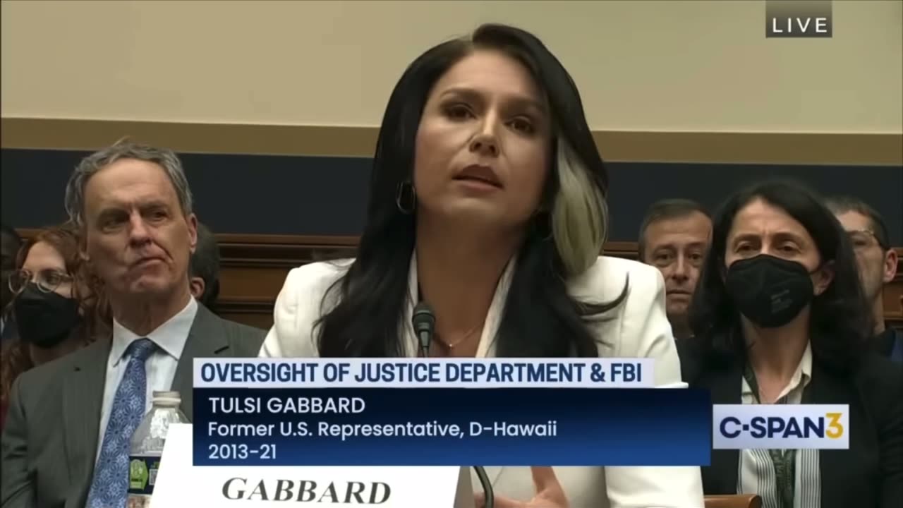 Tulsi Gabbard calls out Big tech, Google, Hillary Clinton and Mitt Romney before Congress