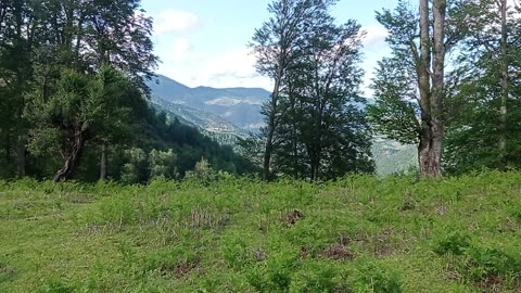 Beautifull earth