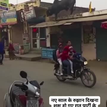 Buffalo's High-Rise Misadventure"