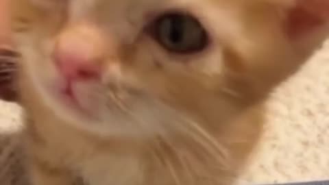 I'm really sad 😿😿😿 