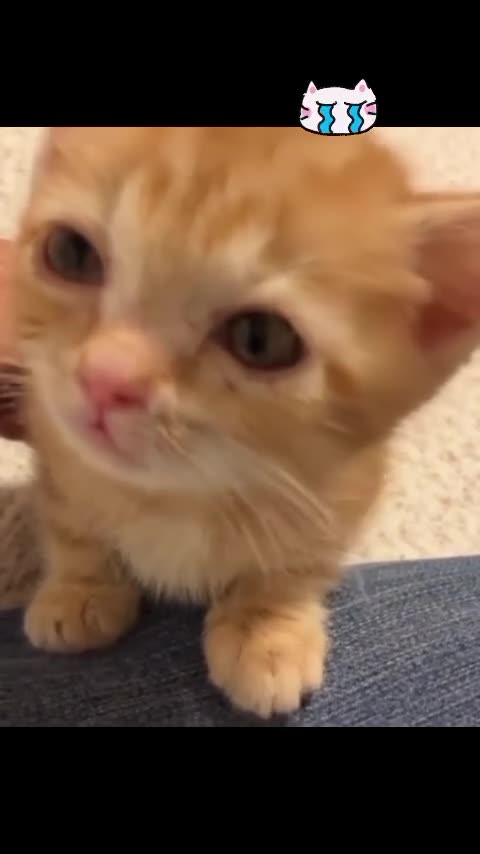 I'm really sad 😿😿😿