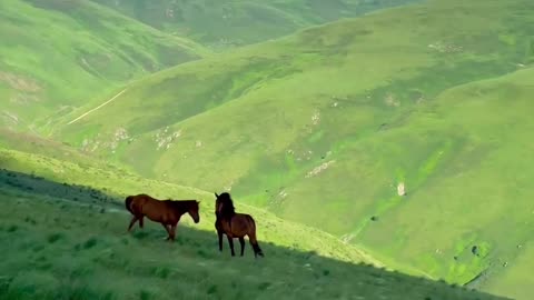 Peaceful landscapes of north albania