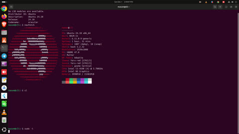 Ubuntu 24.10 LTS Linux Support