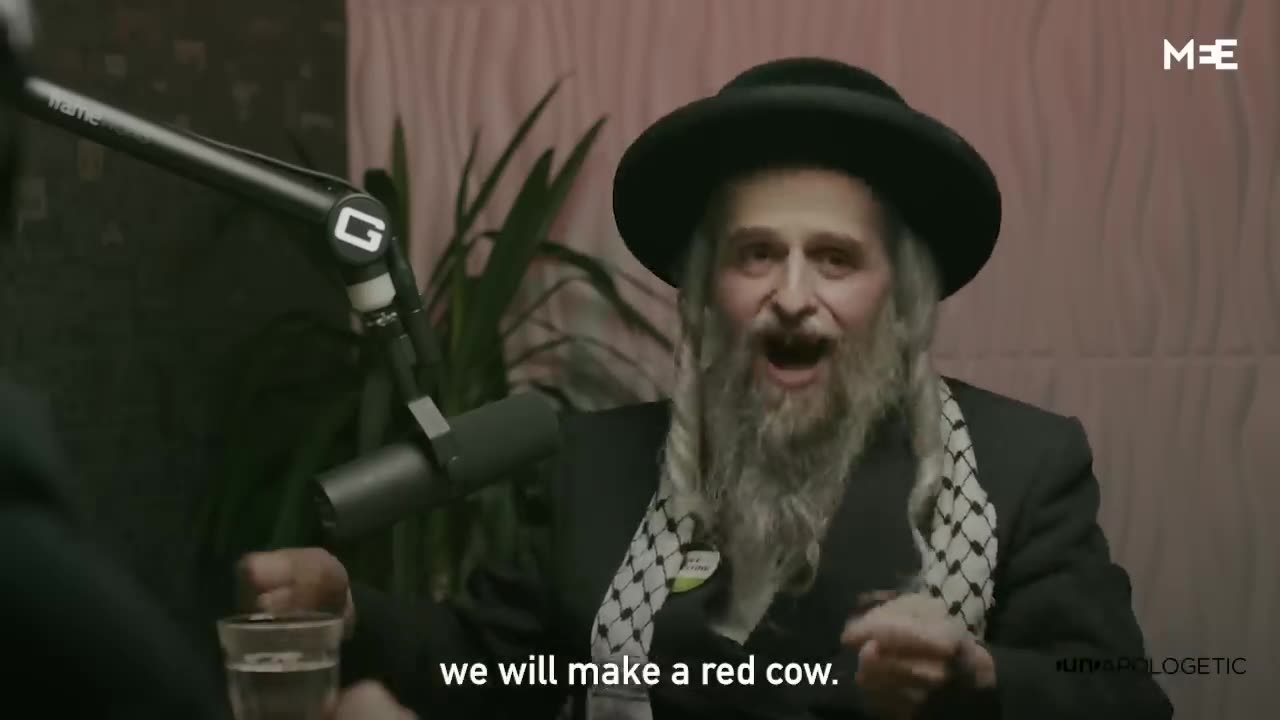 Anti-Zionist rabbi Sacrificing red cows to hasten the messiah is “crazy”