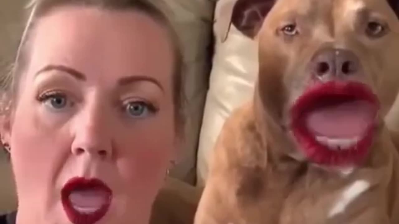 cute Animals